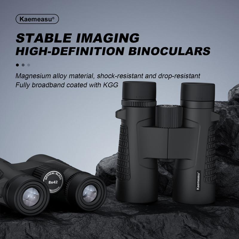 Kaemeasu C Modello nero 10x42 HD binocoli impermeabili per adulti, binocoli per birdwatching e escursioni, ottiche con prisma BAK4, corpo in lega di magnesio a prova di urti, visione chiara e luminosa